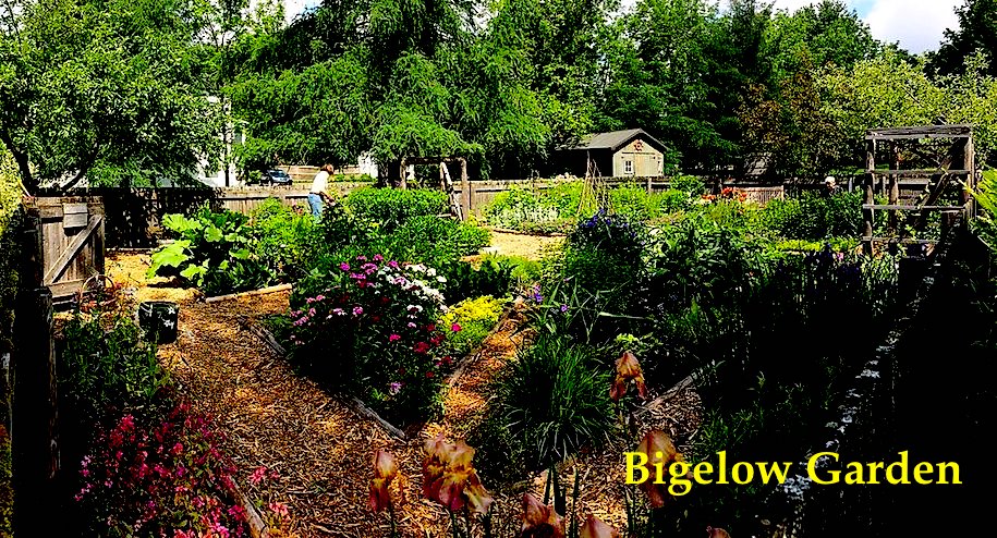 bigelow garden